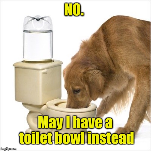 NO. May I have a toilet bowl instead | made w/ Imgflip meme maker