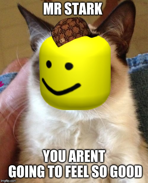 Grumpy Cat Meme | MR STARK; YOU ARENT GOING TO FEEL SO GOOD | image tagged in memes,grumpy cat | made w/ Imgflip meme maker