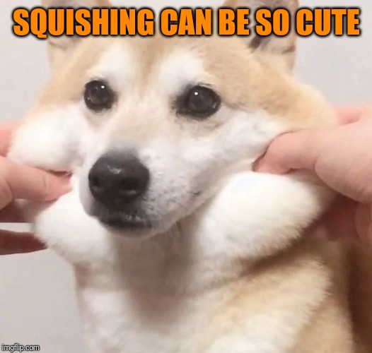 Squishy | SQUISHING CAN BE SO CUTE | image tagged in squishy | made w/ Imgflip meme maker