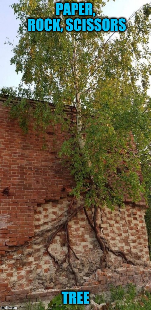 Tree wins | PAPER, ROCK, SCISSORS; TREE | image tagged in tree | made w/ Imgflip meme maker