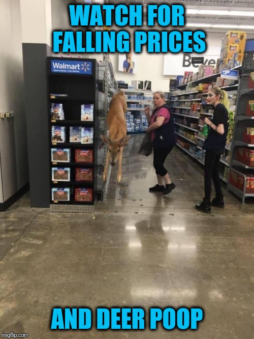 Bambi's Big Walmart Adventure | WATCH FOR FALLING PRICES; AND DEER POOP | made w/ Imgflip meme maker