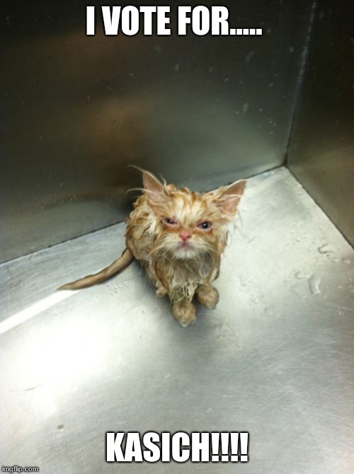Kill You Cat Meme | I VOTE FOR..... KASICH!!!! | image tagged in memes,kill you cat | made w/ Imgflip meme maker