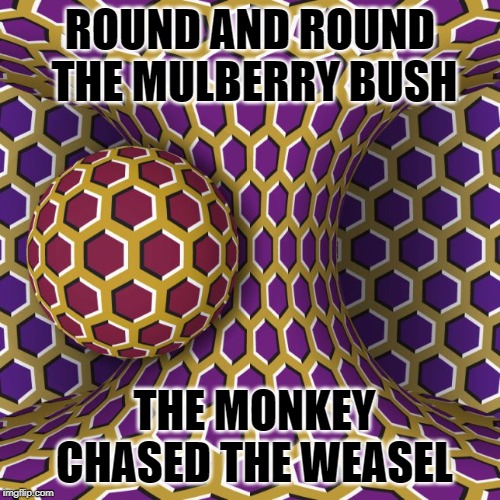 let's roll! | ROUND AND ROUND THE MULBERRY BUSH; THE MONKEY CHASED THE WEASEL | image tagged in let's roll | made w/ Imgflip meme maker