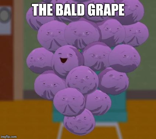 Member grapes | THE BALD GRAPE | image tagged in member grapes | made w/ Imgflip meme maker