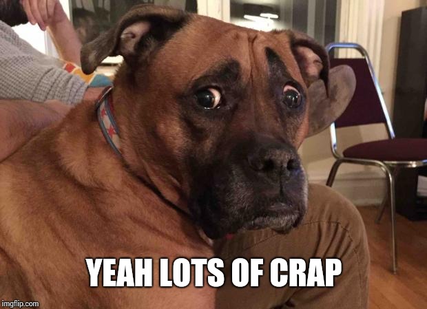 Oh crap dog | YEAH LOTS OF CRAP | image tagged in oh crap dog | made w/ Imgflip meme maker