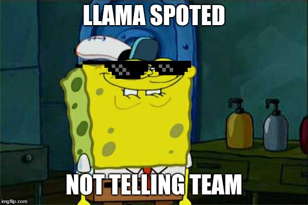 Don't You Squidward | LLAMA SPOTED; NOT TELLING TEAM | image tagged in memes,dont you squidward | made w/ Imgflip meme maker