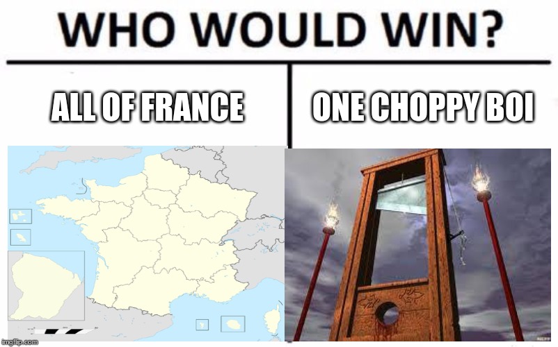 Repost | ALL OF FRANCE; ONE CHOPPY BOI | image tagged in funny,google images | made w/ Imgflip meme maker