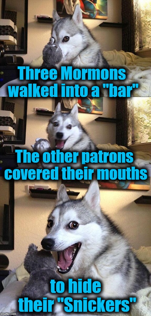 Bad Pun Dog Meme | Three Mormons walked into a "bar" The other patrons covered their mouths to hide their "Snickers" | image tagged in memes,bad pun dog | made w/ Imgflip meme maker