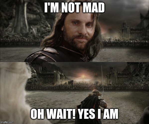 Aragorn Black Gate for Frodo | I'M NOT MAD; OH WAIT! YES I AM | image tagged in aragorn black gate for frodo | made w/ Imgflip meme maker