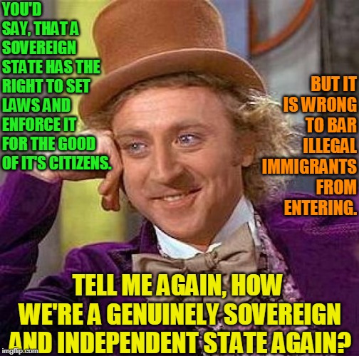 Creepy Border Politics | YOU'D SAY, THAT A SOVEREIGN STATE HAS THE RIGHT TO SET LAWS AND ENFORCE IT FOR THE GOOD OF IT'S CITIZENS. BUT IT IS WRONG TO BAR ILLEGAL IMMIGRANTS FROM ENTERING. TELL ME AGAIN, HOW WE'RE A GENUINELY SOVEREIGN AND INDEPENDENT STATE AGAIN? | image tagged in memes,creepy condescending wonka,illegal immigration,laws,open borders,trump wall | made w/ Imgflip meme maker