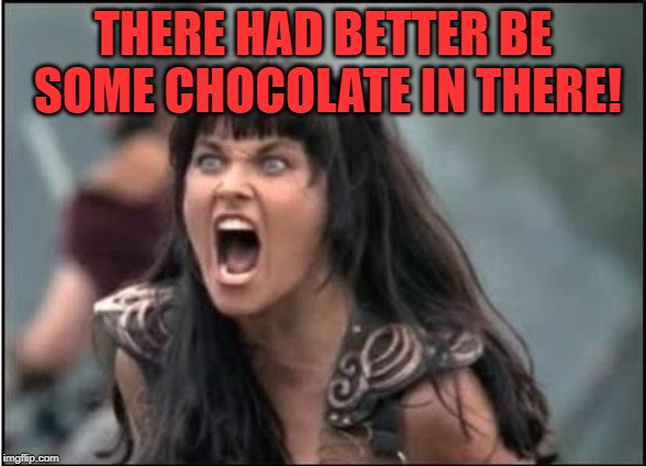 Zena | THERE HAD BETTER BE SOME CHOCOLATE IN THERE! | image tagged in zena | made w/ Imgflip meme maker