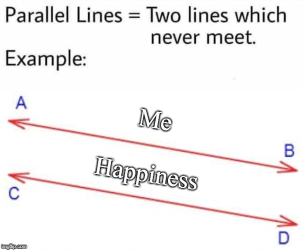 Parallel Lines | Me; Happiness | image tagged in parallel lines,depression,happiness | made w/ Imgflip meme maker