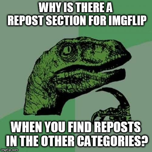 Philosoraptor | WHY IS THERE A REPOST SECTION FOR IMGFLIP; WHEN YOU FIND REPOSTS IN THE OTHER CATEGORIES? | image tagged in memes,philosoraptor,imgflip users,reposts | made w/ Imgflip meme maker