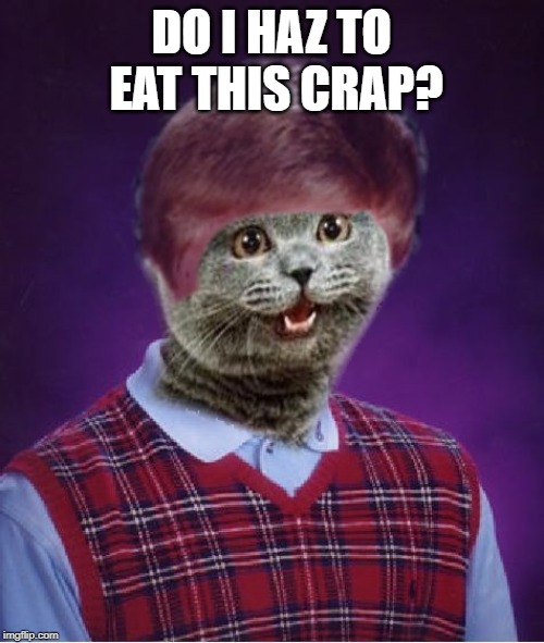 I haz Bad Luck | DO I HAZ TO EAT THIS CRAP? | image tagged in i haz bad luck | made w/ Imgflip meme maker