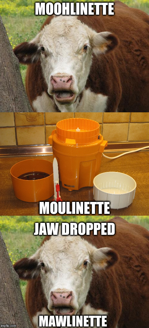 MOOHLINETTE JAW DROPPED MOULINETTE MAWLINETTE | image tagged in cow wut | made w/ Imgflip meme maker