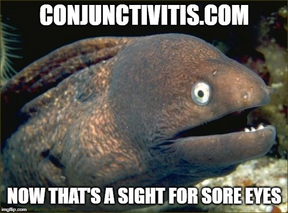 Conjunctivitis.com | CONJUNCTIVITIS.COM; NOW THAT'S A SIGHT FOR SORE EYES | image tagged in memes,bad joke eel,funny,jokes,one-liners,bad pun | made w/ Imgflip meme maker