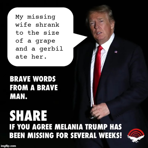 SO BRAVE! | image tagged in brave trump,patriot | made w/ Imgflip meme maker