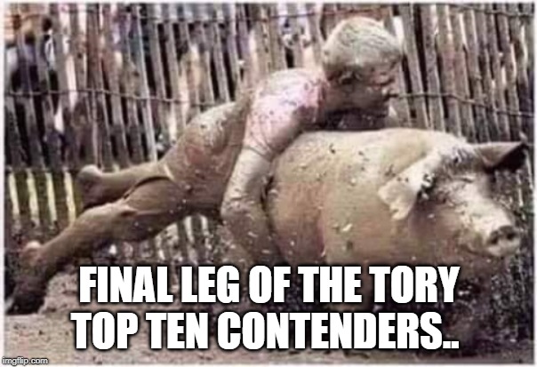 FINAL LEG OF THE TORY TOP TEN CONTENDERS.. | image tagged in anti-politics | made w/ Imgflip meme maker
