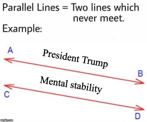 President Trump | President Trump; Mental stability | image tagged in parallel lines,president trump | made w/ Imgflip meme maker