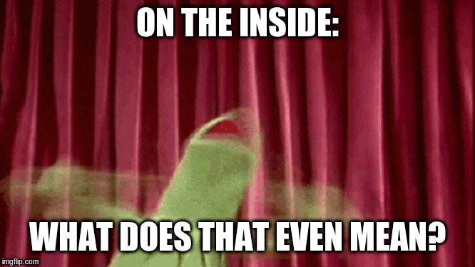 Panic Kermit | ON THE INSIDE: WHAT DOES THAT EVEN MEAN? | image tagged in panic kermit | made w/ Imgflip meme maker