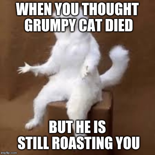 Confused cat | WHEN YOU THOUGHT GRUMPY CAT DIED BUT HE IS STILL ROASTING YOU | image tagged in confused cat | made w/ Imgflip meme maker