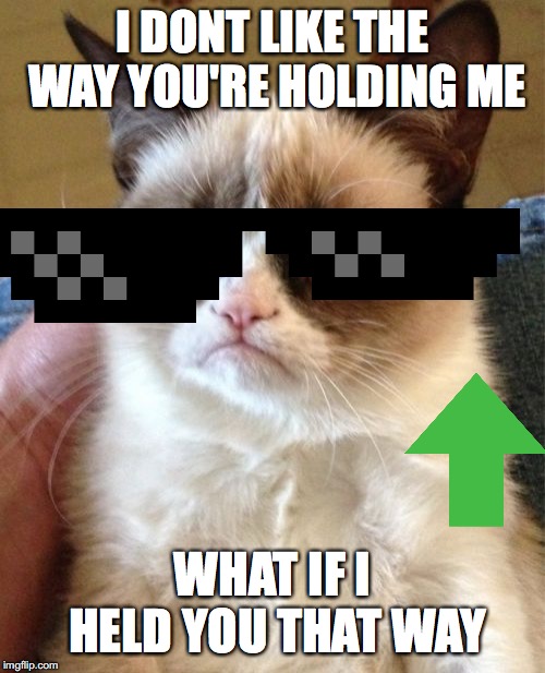 Grumpy Cat | I DONT LIKE THE WAY YOU'RE HOLDING ME; WHAT IF I HELD YOU THAT WAY | image tagged in memes,grumpy cat | made w/ Imgflip meme maker
