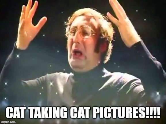 Mind Blown | CAT TAKING CAT PICTURES!!!! | image tagged in mind blown | made w/ Imgflip meme maker