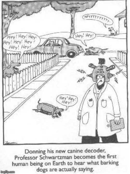 Queen I hope this counts | image tagged in the far side dog translator | made w/ Imgflip meme maker