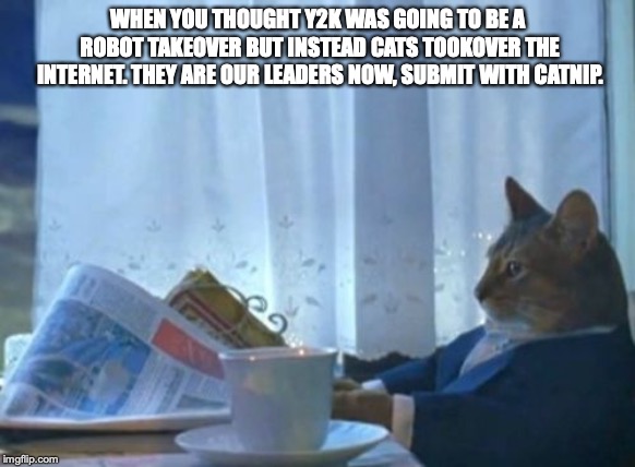 I Should Buy A Boat Cat Meme | WHEN YOU THOUGHT Y2K WAS GOING TO BE A ROBOT TAKEOVER BUT INSTEAD CATS TOOKOVER THE INTERNET. THEY ARE OUR LEADERS NOW, SUBMIT WITH CATNIP. | image tagged in memes,i should buy a boat cat,funny,coffee,internet,newspaper | made w/ Imgflip meme maker