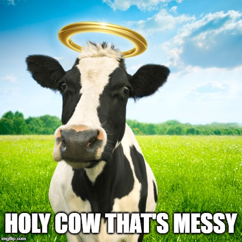 Holy Cow | HOLY COW THAT'S MESSY | image tagged in holy cow | made w/ Imgflip meme maker