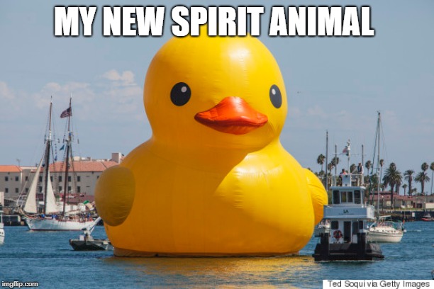 No it's not photo-shopped | MY NEW SPIRIT ANIMAL | image tagged in memes,rubber ducks | made w/ Imgflip meme maker