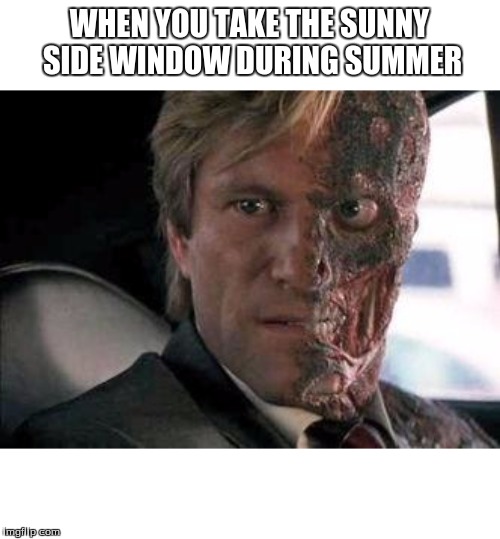 Got a problem with two faces?  | WHEN YOU TAKE THE SUNNY SIDE WINDOW DURING SUMMER | image tagged in got a problem with two faces | made w/ Imgflip meme maker