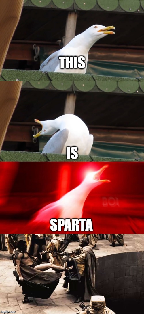 THIS; IS; SPARTA | image tagged in leonidas kicks,inhaling seagull | made w/ Imgflip meme maker
