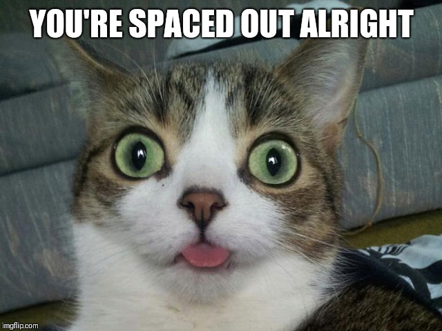 spaced out cat | YOU'RE SPACED OUT ALRIGHT | image tagged in spaced out cat | made w/ Imgflip meme maker