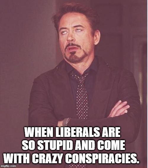 Face You Make Robert Downey Jr Meme | WHEN LIBERALS ARE SO STUPID AND COME WITH CRAZY CONSPIRACIES. | image tagged in memes,face you make robert downey jr | made w/ Imgflip meme maker