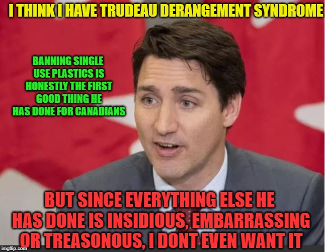 I'll wait for the next one | I THINK I HAVE TRUDEAU DERANGEMENT SYNDROME; BANNING SINGLE USE PLASTICS IS HONESTLY THE FIRST GOOD THING HE HAS DONE FOR CANADIANS; BUT SINCE EVERYTHING ELSE HE HAS DONE IS INSIDIOUS, EMBARRASSING OR TREASONOUS, I DONT EVEN WANT IT | image tagged in trudeau,justin trudeau,stupid liberals,meanwhile in canada,plastic straws,government corruption | made w/ Imgflip meme maker