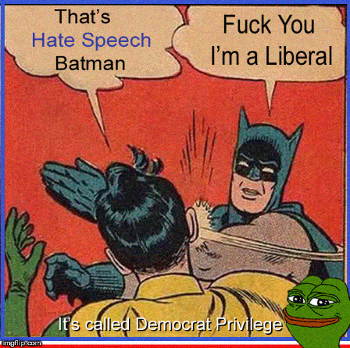 HATE SPEECH is a ONE WAY Street | image tagged in hate speech,batman slapping robin,political meme,censorship,nazis,lol so funny | made w/ Imgflip meme maker