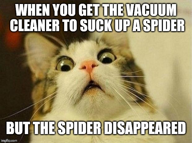 Scared Cat Meme | WHEN YOU GET THE VACUUM CLEANER TO SUCK UP A SPIDER; BUT THE SPIDER DISAPPEARED | image tagged in memes,scared cat | made w/ Imgflip meme maker