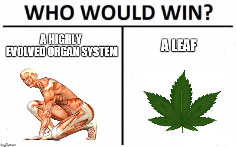 Who Would Win? Meme | A HIGHLY EVOLVED ORGAN SYSTEM; A LEAF | image tagged in memes,who would win | made w/ Imgflip meme maker