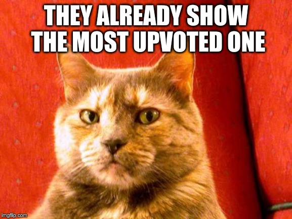 Suspicious Cat Meme | THEY ALREADY SHOW THE MOST UPVOTED ONE | image tagged in memes,suspicious cat | made w/ Imgflip meme maker