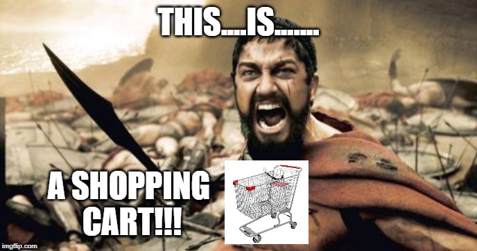 How Items in Your Cart? | THIS....IS....... A SHOPPING CART!!! | image tagged in memes,sparta leonidas | made w/ Imgflip meme maker
