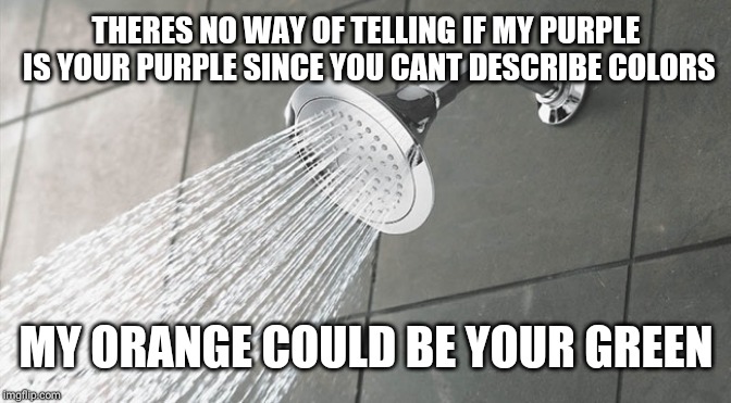 Shower Thoughts | THERES NO WAY OF TELLING IF MY PURPLE IS YOUR PURPLE SINCE YOU CANT DESCRIBE COLORS; MY ORANGE COULD BE YOUR GREEN | image tagged in shower thoughts | made w/ Imgflip meme maker