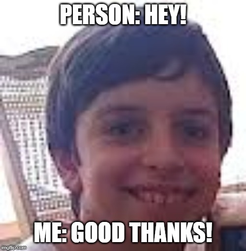 y（^ヮ^）y | PERSON: HEY! ME: GOOD THANKS! | image tagged in yy | made w/ Imgflip meme maker