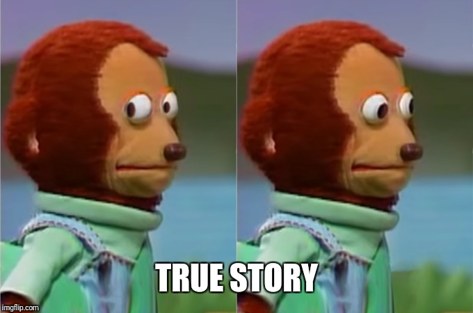 Monkey Puppet | TRUE STORY | image tagged in monkey puppet | made w/ Imgflip meme maker