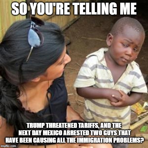 so youre telling me | SO YOU'RE TELLING ME; TRUMP THREATENED TARIFFS, AND THE NEXT DAY MEXICO ARRESTED TWO GUYS THAT HAVE BEEN CAUSING ALL THE IMMIGRATION PROBLEMS? | image tagged in so youre telling me | made w/ Imgflip meme maker