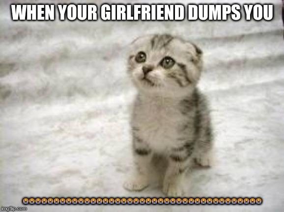 Sad Cat Meme | WHEN YOUR GIRLFRIEND DUMPS YOU; 😭😭😭😭😭😭😭😭😭😭😭😭😭😭😭😭😭😭😭😭😭😭😭😭😭😭😭😭😭😭😭😭😭😭😭😭😭😭😭 | image tagged in memes,sad cat | made w/ Imgflip meme maker