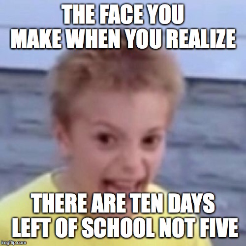 crack kid | THE FACE YOU MAKE WHEN YOU REALIZE; THERE ARE TEN DAYS LEFT OF SCHOOL NOT FIVE | image tagged in crack kid | made w/ Imgflip meme maker