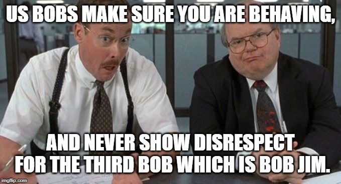 The Bobs |  US BOBS MAKE SURE YOU ARE BEHAVING, AND NEVER SHOW DISRESPECT FOR THE THIRD BOB WHICH IS BOB JIM. | image tagged in memes,the bobs | made w/ Imgflip meme maker