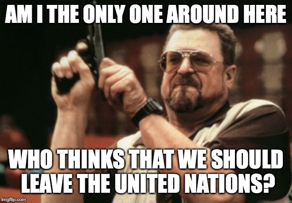 What is the U.N for anyway? |  AM I THE ONLY ONE AROUND HERE; WHO THINKS THAT WE SHOULD LEAVE THE UNITED NATIONS? | image tagged in memes,am i the only one around here,punman21,american politics,united nations | made w/ Imgflip meme maker