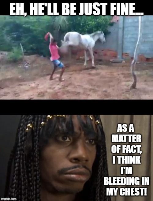 One Swift Kick... | EH, HE'LL BE JUST FINE... AS A MATTER OF FACT, I THINK I'M BLEEDING IN MY CHEST! | image tagged in dave chappelle,horse | made w/ Imgflip meme maker